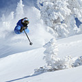 Deep Powder Skier - Snowbird, Utah Photograph by Brett Pelletier Deep Powder Skier - Snowbird, Utah Photograph by Brett Pelletier