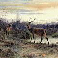 Deers In The Forest At Fontainebleau - Digital Remastered Edition by Rosa Bonheur Deers In The Forest At Fontainebleau - Digital Remastered Edition by Rosa Bonheur