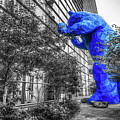 Denver Colorado Blue Bear - Selective Coloring Photograph by Gregory Ballos Denver Colorado Blue Bear - Selective Coloring Photograph by Gregory Ballos
