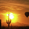 Desert Balloon Sunrise by Bob Falcone