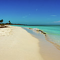 Deserted Beach - Bahia Honda State Park - Florida by Sandra Foyt