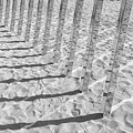 DESERTX 2017 Series 1-1 Photograph by J Doyne Miller DESERTX 2017 Series 1-1 Photograph by J Doyne Miller
