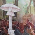 Destroying Angel by Bev Morgan