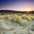 Devil's Cornfield at Sunrise by Spencer McDonald