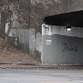 Dewey Photograph by Kreddible Trout Dewey Photograph by Kreddible Trout
