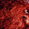 Diablos Hair Painting by Anna Adams Diablos Hair Painting by Anna Adams