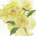 Dimensional Peony I by Chris Paschke