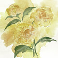 Dimensional Peony II by Chris Paschke