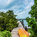 Dinghy On Deck by Sandra Foyt