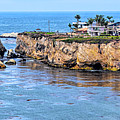 Dinosaur Caves At Pismo Beach California Photograph by Barbara Snyder