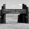 Dinosaur Valley State Park Monochrome by Bob Pardue