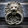 Disturbing Knocker Photograph by Monroe Payne Disturbing Knocker Photograph by Monroe Payne