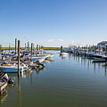 Dock at Murrel's Inlet by Lon Dittrick
