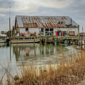 Dock in Bennett Creek by Jerry Gammon