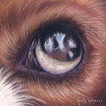 Dog Eye Study by Kirsty Rebecca Dog Eye Study by Kirsty Rebecca