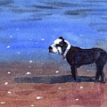 Dog on a Beach Painting by Vicki B Littell Dog on a Beach Painting by Vicki B Littell