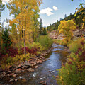 Dolores in Autumn by Lana Trussell
