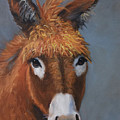 Donkey #3 Original Oil Painting by Cheri Wollenberg by Cheri Wollenberg