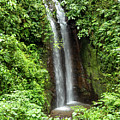 Double Falls, Costa Rica Photograph by Leslie Struxness Double Falls, Costa Rica Photograph by Leslie Struxness