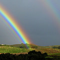 Double Rainbow Photograph by Barbara Siegel Double Rainbow Photograph by Barbara Siegel