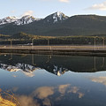 Douglas, Reflected Photograph by Charles Vice Douglas, Reflected Photograph by Charles Vice