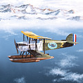 Douglas World Cruiser Painting by Steve Ferguson Douglas World Cruiser Painting by Steve Ferguson