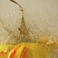 Downwards by Catherine Sobredo