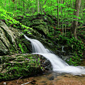 Doyles River Waterfall VA by Chris Berrier