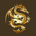 Dragon Photograph by Nancy Ayanna Wyatt Dragon Photograph by Nancy Ayanna Wyatt