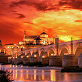 Drama in Cordoba by John Wright