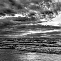 Drama on the Seashore by Kathi Mirto