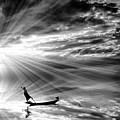 Dream Photograph by Sofie Conte Dream Photograph by Sofie Conte