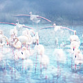 Dreamy Camargue flamingos on a lake by Jean Gill