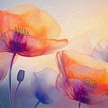 Dreamy Poppies by Susan Rydberg