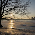 Winter sunset at Moritzburg Castle 1 Photograph by Adriana Mueller Winter sunset at Moritzburg Castle 1 Photograph by Adriana Mueller