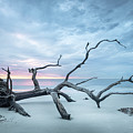 Beach Driftwood Footprints Jekyll Island Georgia Sunrise Photograph by Jordan Hill Beach Driftwood Footprints Jekyll Island Georgia Sunrise Photograph by Jordan Hill