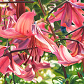 Dripping Fragrance Painting by Espero Art Dripping Fragrance Painting by Espero Art