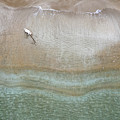 Drone aerial of white Dog running and playing at empty sandy beach Photograph by Michalakis Ppalis Drone aerial of white Dog running and playing at empty sandy beach Photograph by Michalakis Ppalis