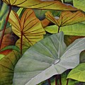 Taro Drops Painting by Kim McClinton Taro Drops Painting by Kim McClinton