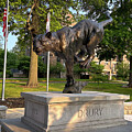 Drury Panther 6 by Allin Sorenson