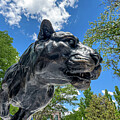Drury Panther 7 by Allin Sorenson