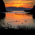 Ducks at sunrise, San Pablo Bay Photograph by Donald Kinney Ducks at sunrise, San Pablo Bay Photograph by Donald Kinney