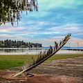 Duck's Feather Photograph by Anamar Pictures Duck's Feather Photograph by Anamar Pictures