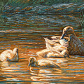 Ducks Painting by Lucie Bilodeau