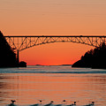 Ducks Under the Bridge Photograph by Michael Rauwolf Ducks Under the Bridge Photograph by Michael Rauwolf
