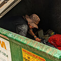 Dumpster Diver by Brian King