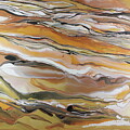 Dune by Madeleine Arnett