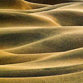 Dunes Golden Abstract Light Photograph by David Downs Dunes Golden Abstract Light Photograph by David Downs