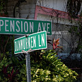 Dunwerken Ln Photograph by ARTtography by David Bruce Kawchak Dunwerken Ln Photograph by ARTtography by David Bruce Kawchak