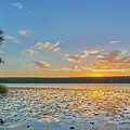 Dusk in Central Florida Photograph by Jon Glaser